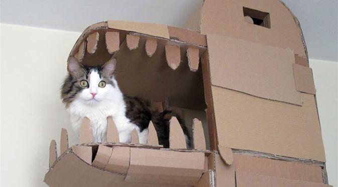 Kucing Ini Tinggal di Istana Kardus Berbentuk Naga | foto : Boredpanda.com