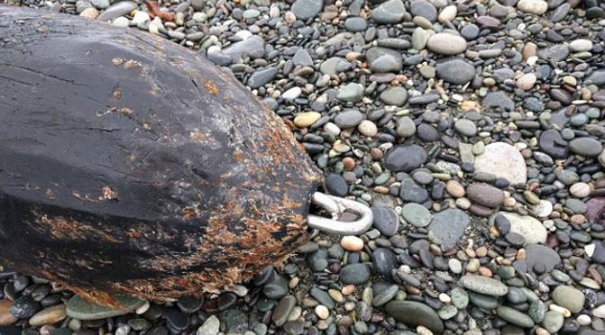 Ujung benda 'misterius' sepanjang 100 meter yang ditemukan di pantai Selandia Baru (Facebook/Environment Southland)