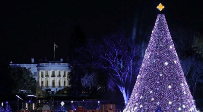 Pohon Natal di Washington, D.C, Amerika Serikat. (AP)