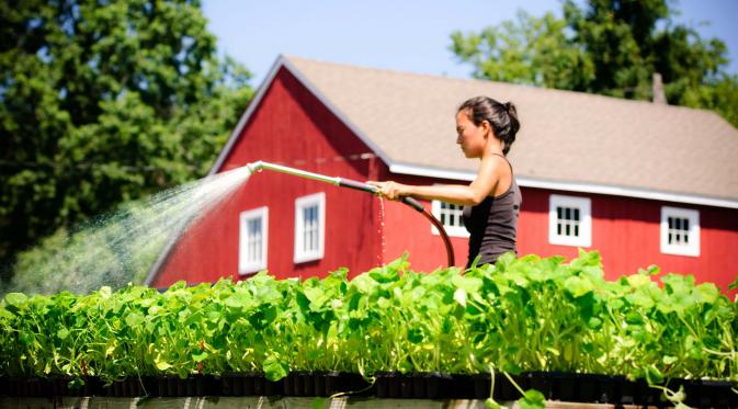 Ini Ide Bisnis yang Bakal Sukses di Tahun 2017. (Foto: honeybrookorganicfarm.com)