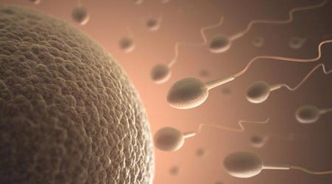 5 Langkah Memperbaiki Kualitas Sperma