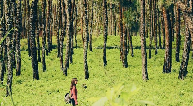 Coban Talun, Batu, Jawa Timur. (cindydewati/Instagram)