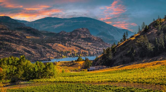 Okanagan Valley, Kanada. (darrelluruski.photoshelter.com)