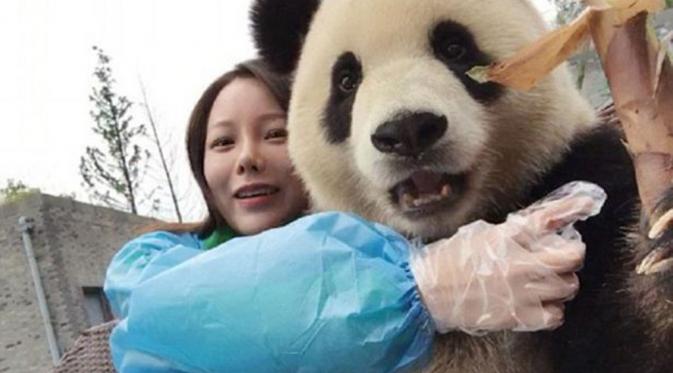 Selfie bareng panda. (Via: mirror.co.uk)