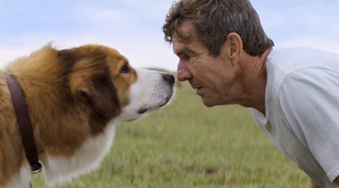 Film drama A Dog's Purpose. (Universal Pictures)