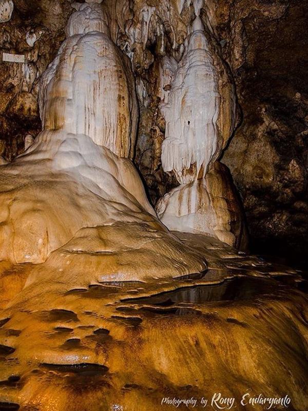 Gua Petruk, Kebumen, Jawa Tengah. (ronyendaryanto4/Instagram)