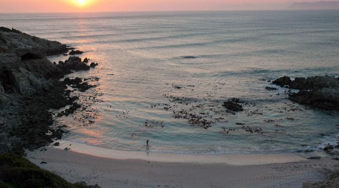 Pantai Gansbaai, Afrika Selatan. (holidaybug.co.za)