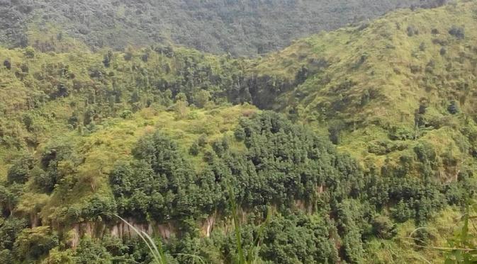 Bukit Kura-kura Ongakan, Kediri, Jawa Timur. (miftahchoir/Instagram)