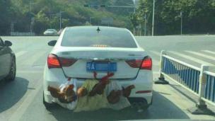 Cara membawa bebek dan ayam di mobil dilakuikan di China.
