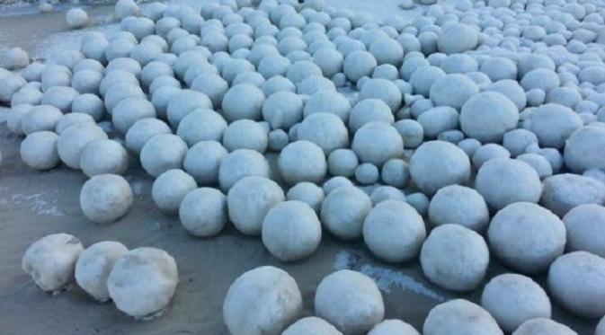 Bola-bola salju di sebuah pantai di Nyda, Siberia (Arctic and Antarctic Research Institute)