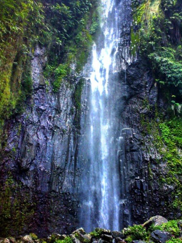 Coban Wilis, Blitar, Jawa Timur. (ryandfa/Instagram)