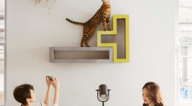 Furnitur khusus ini akan jaga rumah Anda dari goresan kuku kucing. (Foto : inhabitat.com)