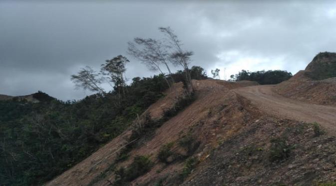 Jalan tertinggi di Papua