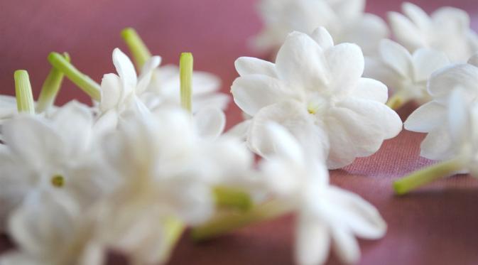 Bunga yang Bermanfaat untuk Kecantikan. (Foto: livehdwallpaper.com)