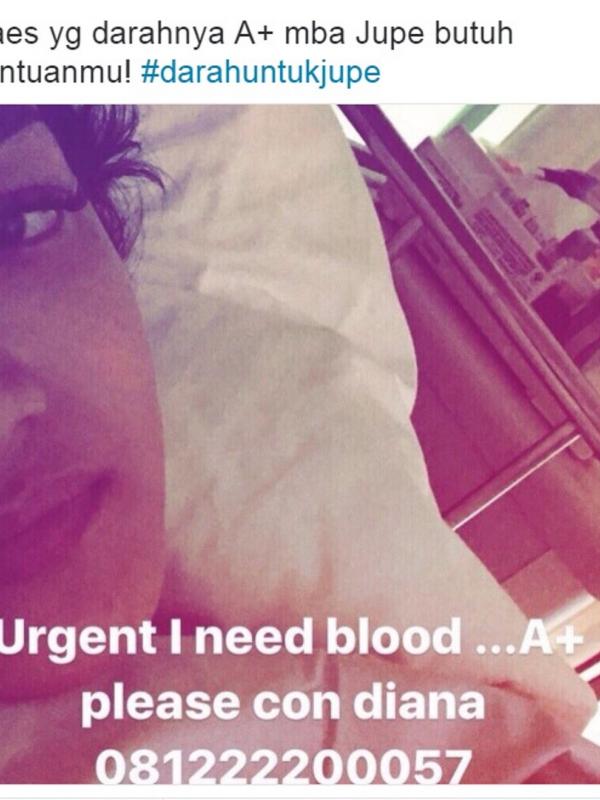 Julia Perez membutuhkan darah golongan A+ (Twitter @fajarnugros)