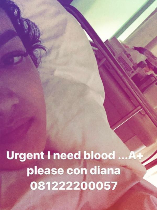 Julia Perez membutuhkan bantuan donor darah.