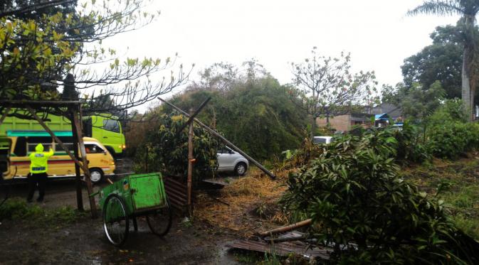 Hujan deras mengakibatkan sejumlah pohon tumbang di kawasan wisata alam, Kabupaten Karo, Sumut. (Liputan6.com/Reza Efendi)