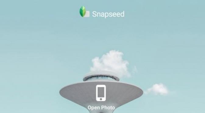 Snapseed. (businessinsider.com)