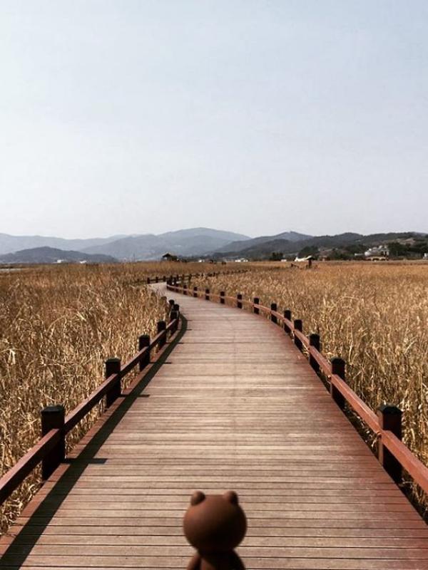 Suncheon Bay, Korea Selatan. (whereisbrown/Instagram)