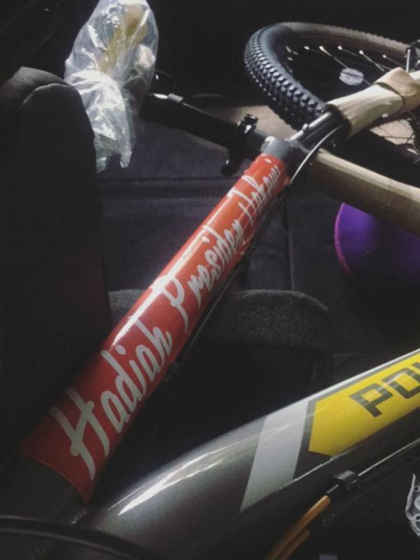 Raisa memamerkan sepeda yang diberikan oleh Presiden Jokowi. (Instagram Stories - @raisa6690)