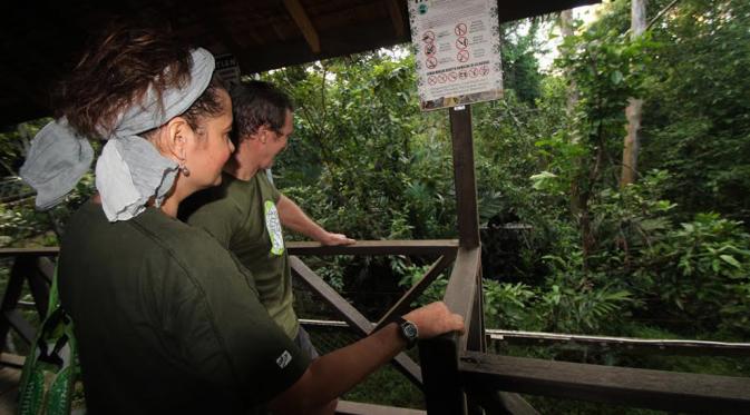 Para peneliti asing rutin memperhatikan cara hidup beruang madu di Balikpapan, Kaltim. (Liputan6.com/Abelda Gunawan)