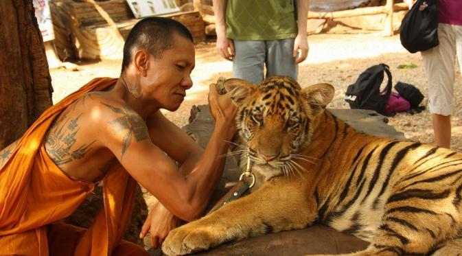 Berpose bersama harimau. (Jaume Escofet/Flickr)
