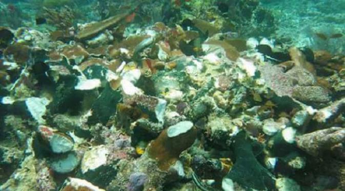 Spot selam favorit di Raja Ampat yang dilindas kapal pesiar Caledonia Sky itu hanya menyisakan akar karang yang rusak. (Liputan6.com/Katharina Janur)