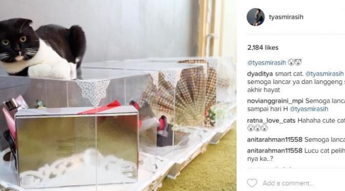 Tyas Mirasih mengunggah foto seserahannya yang ditiduri kucing (Instagram/@tyasmirasih)
