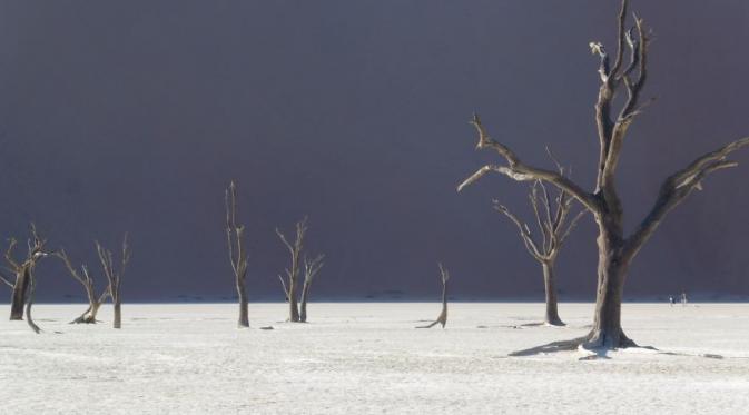 Gurun Namib, Namibia. (Joselito El Zapatero/Bored Panda)