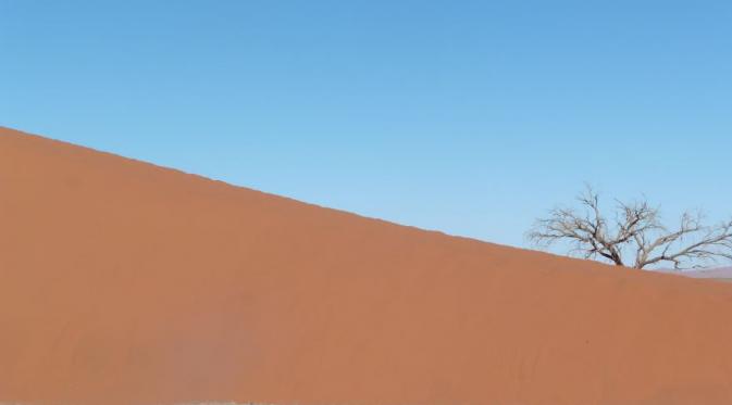 Gurun Namib, Namibia. (Joselito El Zapatero/Bored Panda)