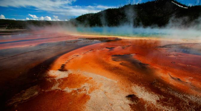 Taman Nasional Yellowstone (Reuters)