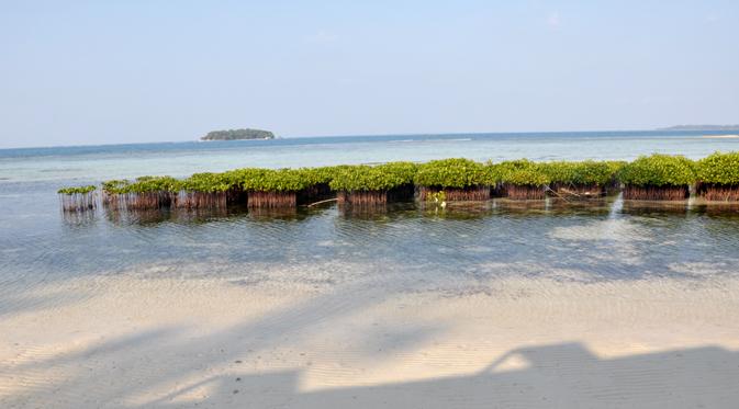 Pulau Pramuka Alternatif Baru Tempat Wisata