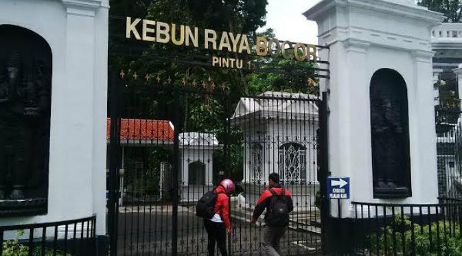 Dalam peristiwa penutupan Kebun raya Bogor kemarin, 14 tanaman koleksi dan 4 tanaman non-koleksi tumbang.