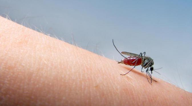 Nyamuk pembawa virus Dengue biasanya mengigit daerah kaki. Karena itu, keluarlah dengan mengenakan celana panjang.