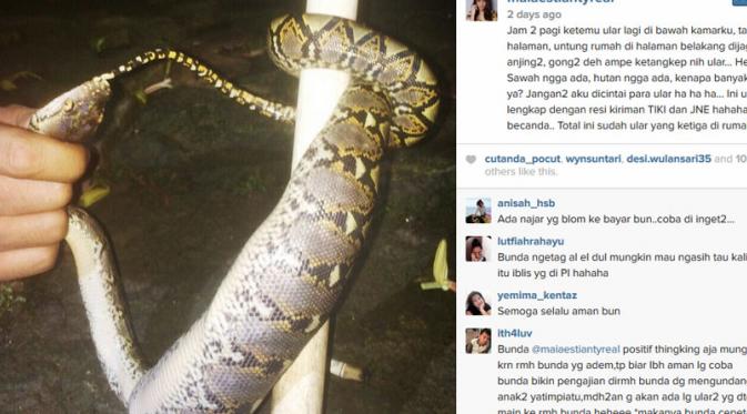 Maia Estianty kembali didatangi ular untuk ke-3 kalinya