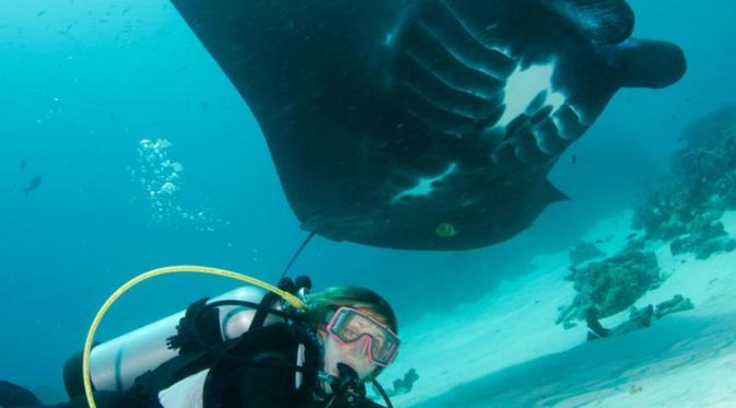 Menyelam bersama ikan manta di Raja Ampat | via: extremesports.com