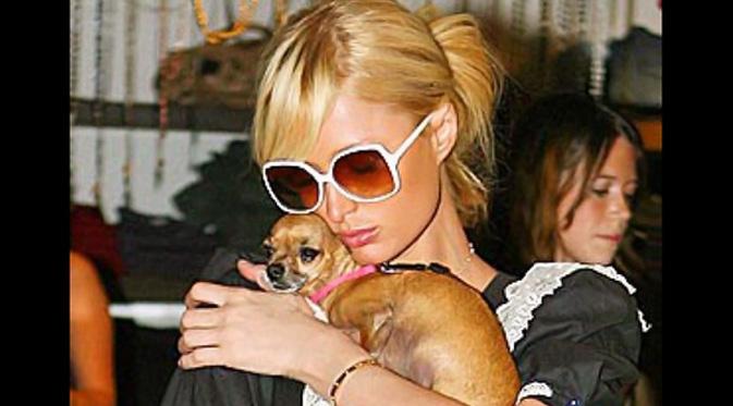 Paris Hilton bersama anjing kesayangannya, Tinkerbell. (foto: eonline)
