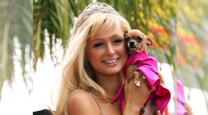 Paris Hilton dan anjingnya, Tinkerbell. (foto: metro.co.uk)