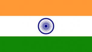 1D India. (Via: flaglane.com)