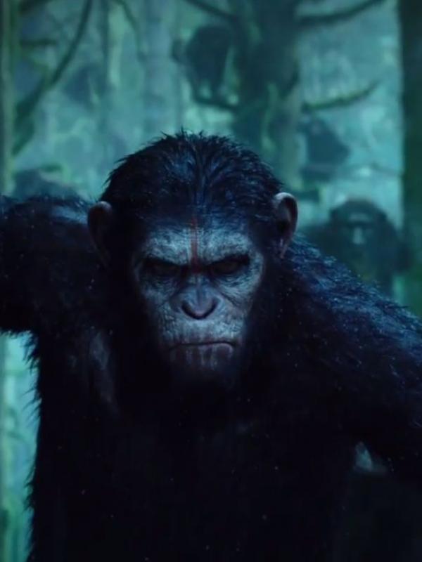 Adegan di film  Dawn of the Planet of the Apes. Foto: via bleedingcool.com