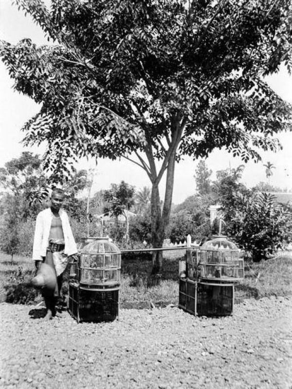 Hari Kebangkitan Nasional, Foto pedagang burung di bandung tahun 1908