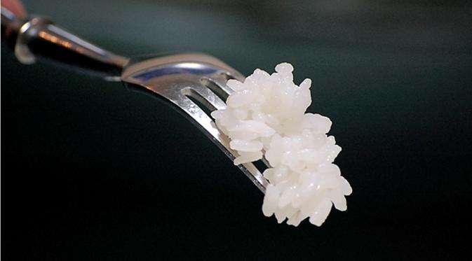 Makan nasi bukan suatu kewajiban | via: rei-saionji.com