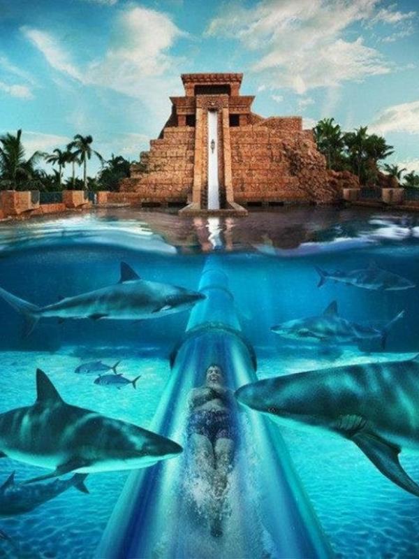Atlantis, Bahamas | via: buzzfeed.com