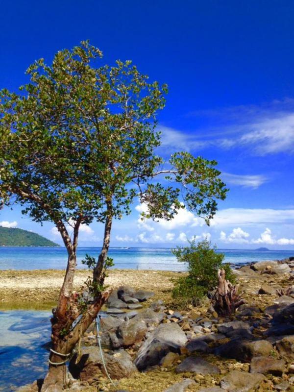 Kepulauan Anambas, Riau | via: twitter.com/wisataanambas