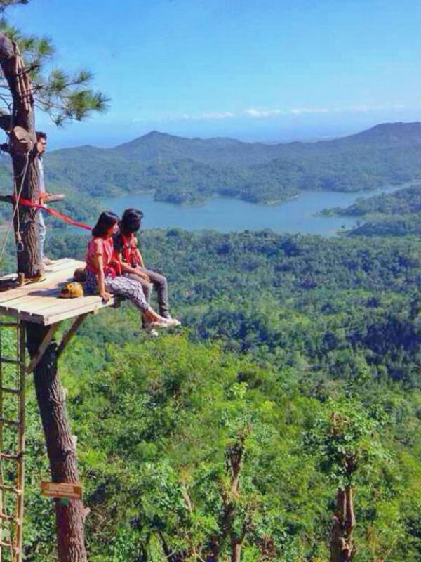 Kalibiru (Via: indonesia.tripcanvas.co)