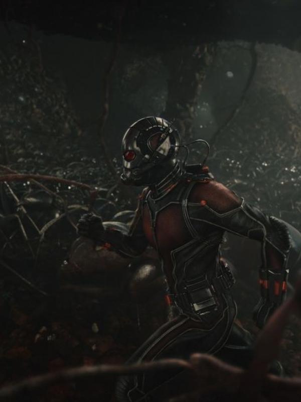 Spider-Man yang sudah diserahkan oleh Sony Pictures, disebut bakal disebut pertama kali dalam film Ant-Man.