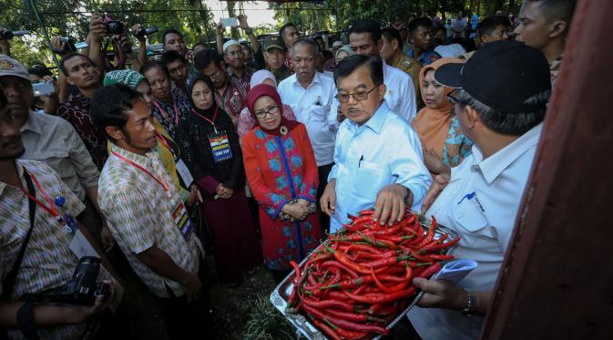JK mengajak warga berdialog soal hasil pertanian di sekitar Desa Mallari, Awangpone, Bone, Sulawesi Selatan. (Liputan6.com/Faizal Fanani)
