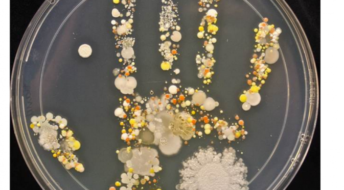Penampakan bakteria di tangan anak usai bermain | via: liputan6.com