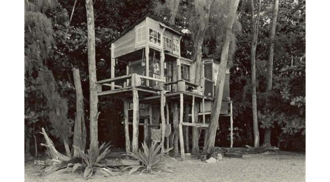 Kaum hippie melakukan pengasingan ke Ha'ena State Park dengan membangun rumah pohon di tepi pantai Amerika Serikat.