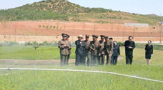 Kim Jong-un meninjau lahan pertanian (KCNA)